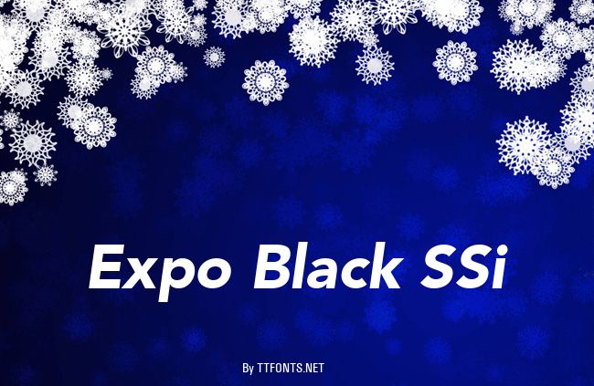 Expo Black SSi example